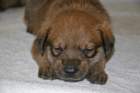 coucou2630_small.jpg
